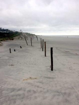 Storm surge and heavy winds from Hurricane Matthew destroyed much of the dune line at the beach. (photo submitted)