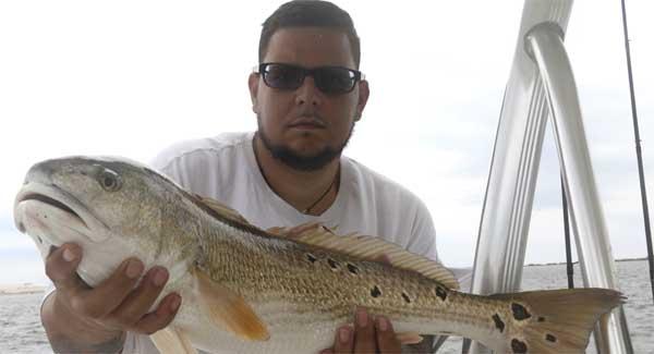 Will Isom of Atlantic Beach with a nice over-slot red caught off the Mayport Jetties. (photo submitted)
